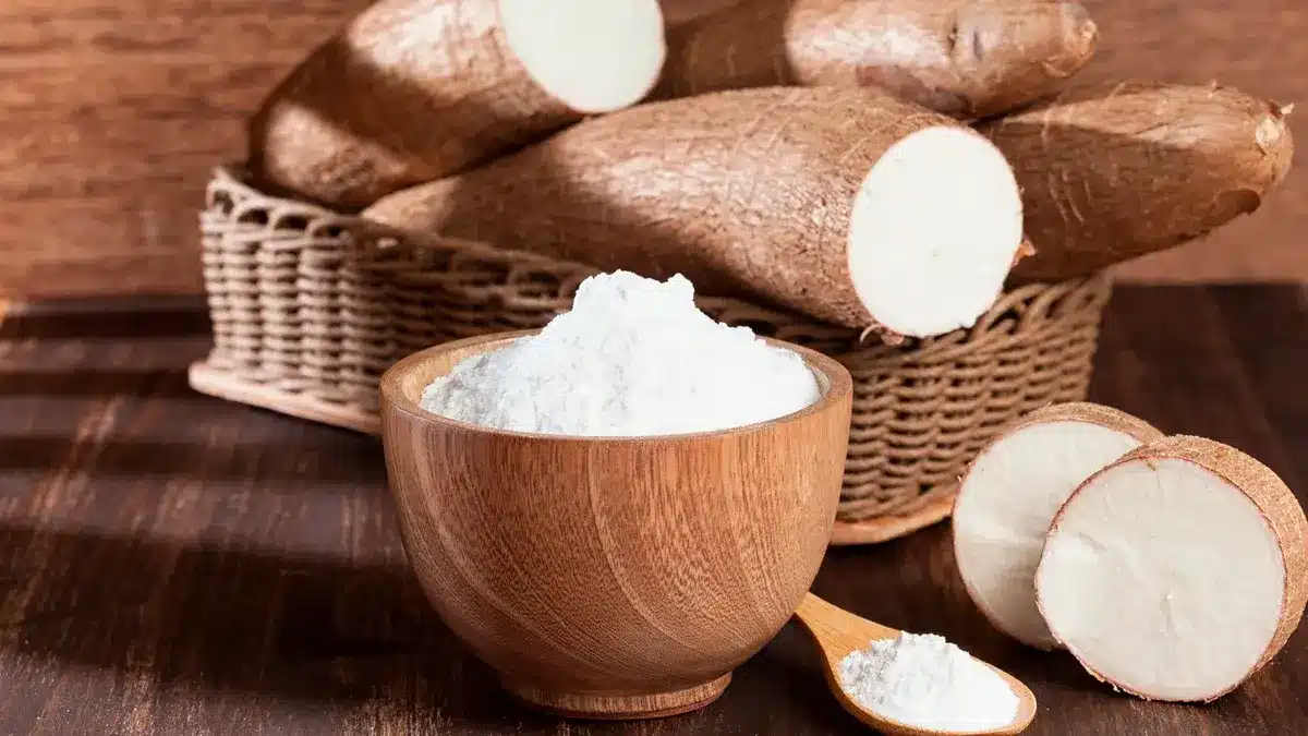 Almidón de raíz de yuca cruda orgánica