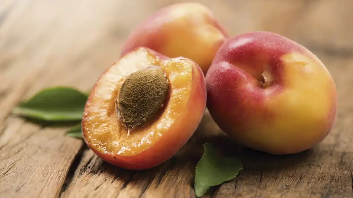 Muestra de albaricoques ricos en provitamina A